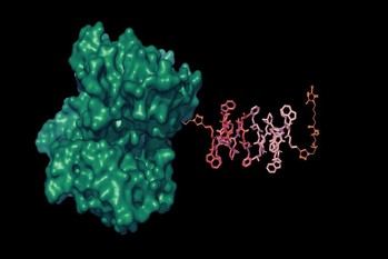 Nuevos sensores de MRI mejoran la detección de moléculas en el cuerpo