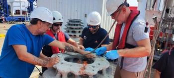 CSIC crea arrecifes artificiales en el mar de Alborán para restaurar corales