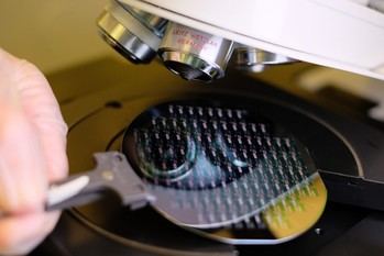 CSIC impulsa la fabricación de chips en Europa para garantizar la autonomía tecnológica