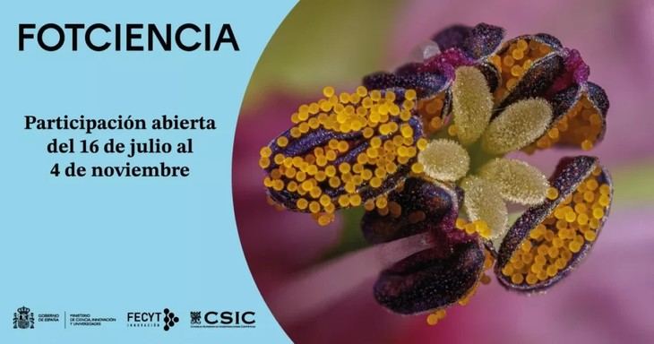 FECYT y CSIC lanzan concurso de fotografía científica FOTCIENCIA21
