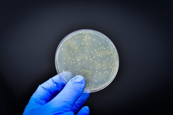 Estudio del CSIC revela resistencia bacteriana en la cadena alimentaria europea
