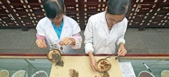 Integran inteligencia artificial y medicina tradicional para mejorar la salud global