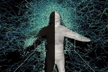 Investigadores desarrollan un modelo 3D para predecir el vuelo de los mosquitos