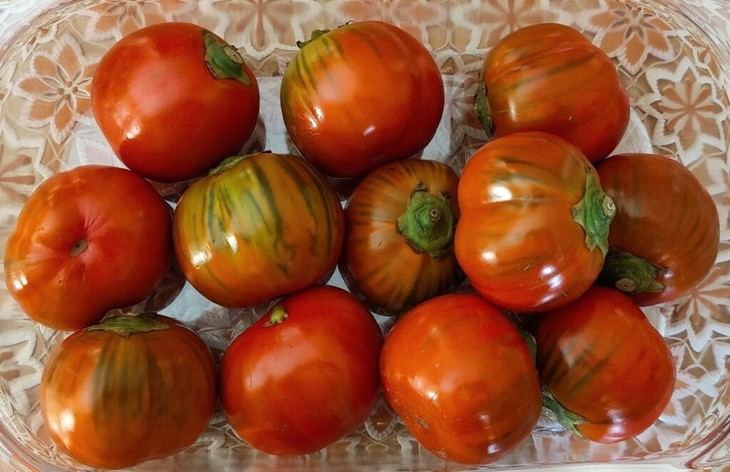 Investigadores desarrollan técnica para silenciar genes en plantas y aumentar su rendimiento