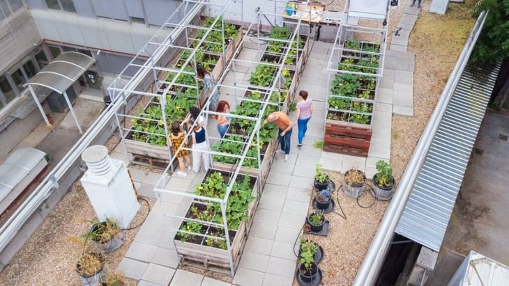 CSIC impulsa la agricultura urbana con sustratos de biorresiduos en Madrid